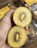 佳沛（zespri）新西兰金奇异果10粒巨大果146-175g猕猴桃水果礼盒 实拍图