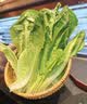 【烧烤季】钟灵山罗马生菜400g 实拍图