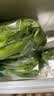 【烧烤季】钟灵山罗马生菜400g 实拍图