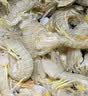 鲜活皮皮虾300g（约10-18只） 实拍图
