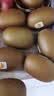 佳沛（zespri）新西兰金奇异果22粒巨大原箱146-175g猕猴桃水果礼盒 实拍图
