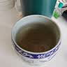 福东海 雪菊50克 昆仑雪菊胎菊新疆特级蕾茶天山血菊花草茶养生茶叶 实拍图