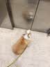 嬉皮狗小狗狗牵引绳背心式遛狗绳子小型犬胸背带狗链子 L码 建议8-16斤 实拍图