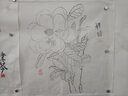 白描花卉写生集 实拍图