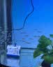 森森（SUNSUN）耀蓝鱼缸水泵小型潜水泵过滤泵抽水泵YQP-500 6W 实拍图