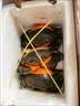 【活蟹】掌昕鲜三门青蟹 全母蟹（6-7两/只）3只 海鲜活螃蟹送礼品盒非梭子蟹 源头直发 实拍图
