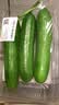 【水果菜】荷兰水果黄瓜约400g 实拍图