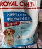 皇家狗粮 幼犬狗粮 宠物 小型犬 MIJ31 全价犬粮 2-10月 2KG 实拍图