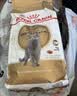 皇家猫粮 英短成猫粮 BS34 通用粮 12月以上 2KG【宠物金选】 实拍图