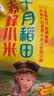 十月稻田 赤峰小米 1kg 内蒙古敖汉旗 黄小米杂粮 小米黄小米 实拍图