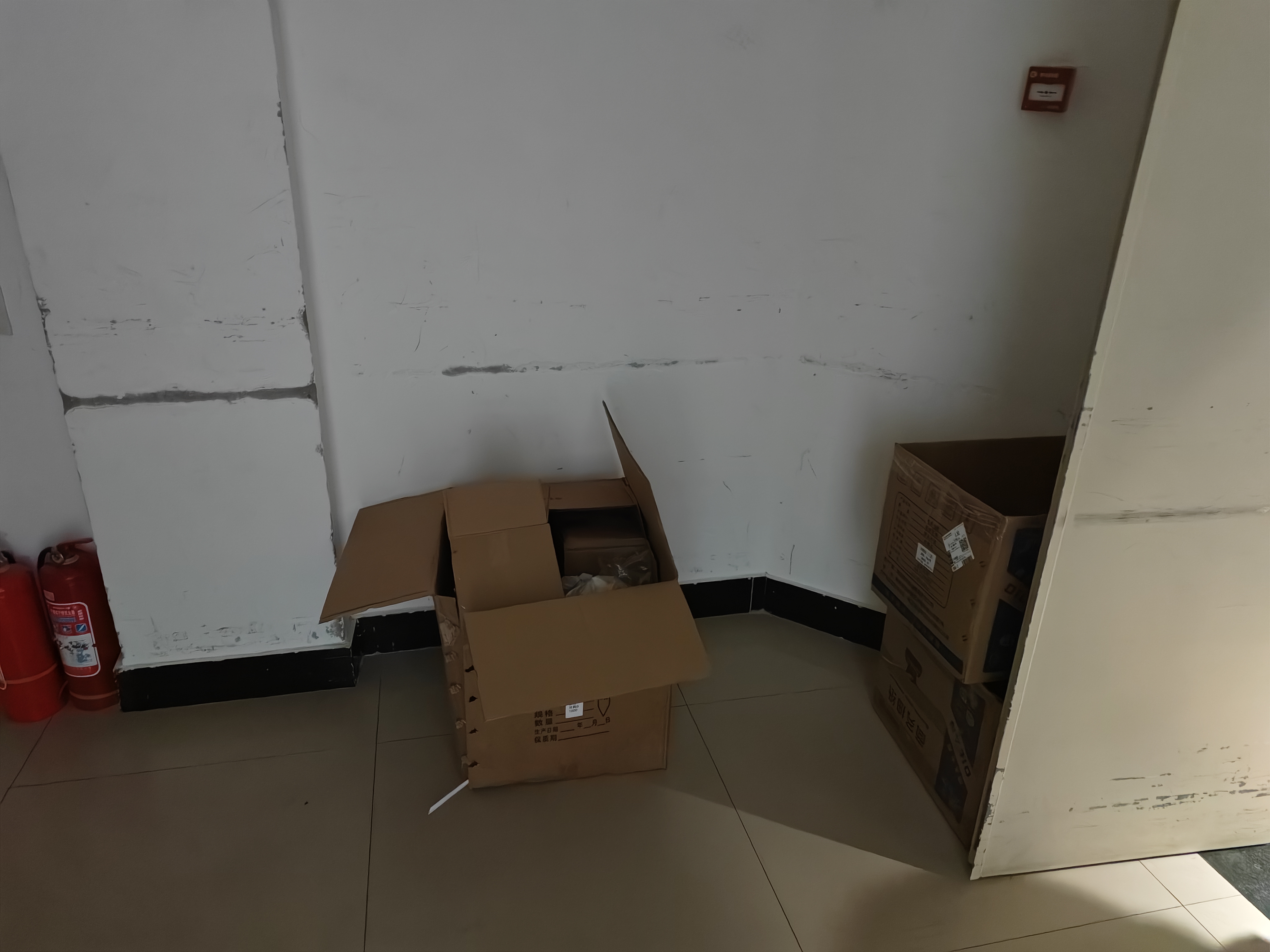 西凤酒 6年 六年陈酿经典水晶瓶 45度 500ml 单瓶装 凤香型白酒 实拍图