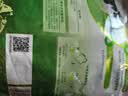 伊利全脂甜奶粉 成人奶粉 营养早餐生牛乳高钙高蛋白 便携装16条 400g 实拍图