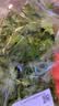【火锅季】带根香菜100g 实拍图