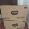 好奇（Huggies）铂金装小桃裤纸尿裤NB84片(5kg以下)尿不湿【散热口碑王】 实拍图