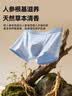 京东京造2026秋冬【15A抗菌】男士内裤纯棉短裤人参底裆男生大码6条 2XL 实拍图