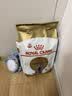 皇家猫粮 英短成猫粮 BS34 通用粮 12月以上 2KG【宠物金选】 实拍图