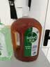 滴露（Dettol）消毒液洗衣衣物消毒水750mL 除螨杀菌混洗无忧 家居地板消毒 非84 实拍图