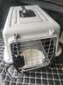 腆宠宠物航空箱小号 猫咪航空箱猫狗 猫包猫笼外出车载猫箱狗狗托运 实拍图