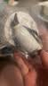 玛奇乐（MECHILE）仿真海洋生物玩具鲨鱼海豚海葵海星海马水母皮皮虾面包蟹动物模型 立企鹅 实拍图