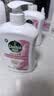 滴露（Dettol）洗手液抑菌消毒滋润500g+500g 补充装 儿童家庭护手替换装 实拍图