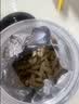 福东海特级麦冬茶100g 四宝元气茶原料四川绵阳搭中药材玉竹养生茶煲汤 实拍图