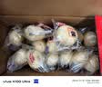 港荣蒸蛋糕奶香900g蛋糕小面包早餐零食饼干西式糕点甜品礼品盒 实拍图