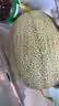 脆甜西州蜜瓜1粒约1.8kg 实拍图
