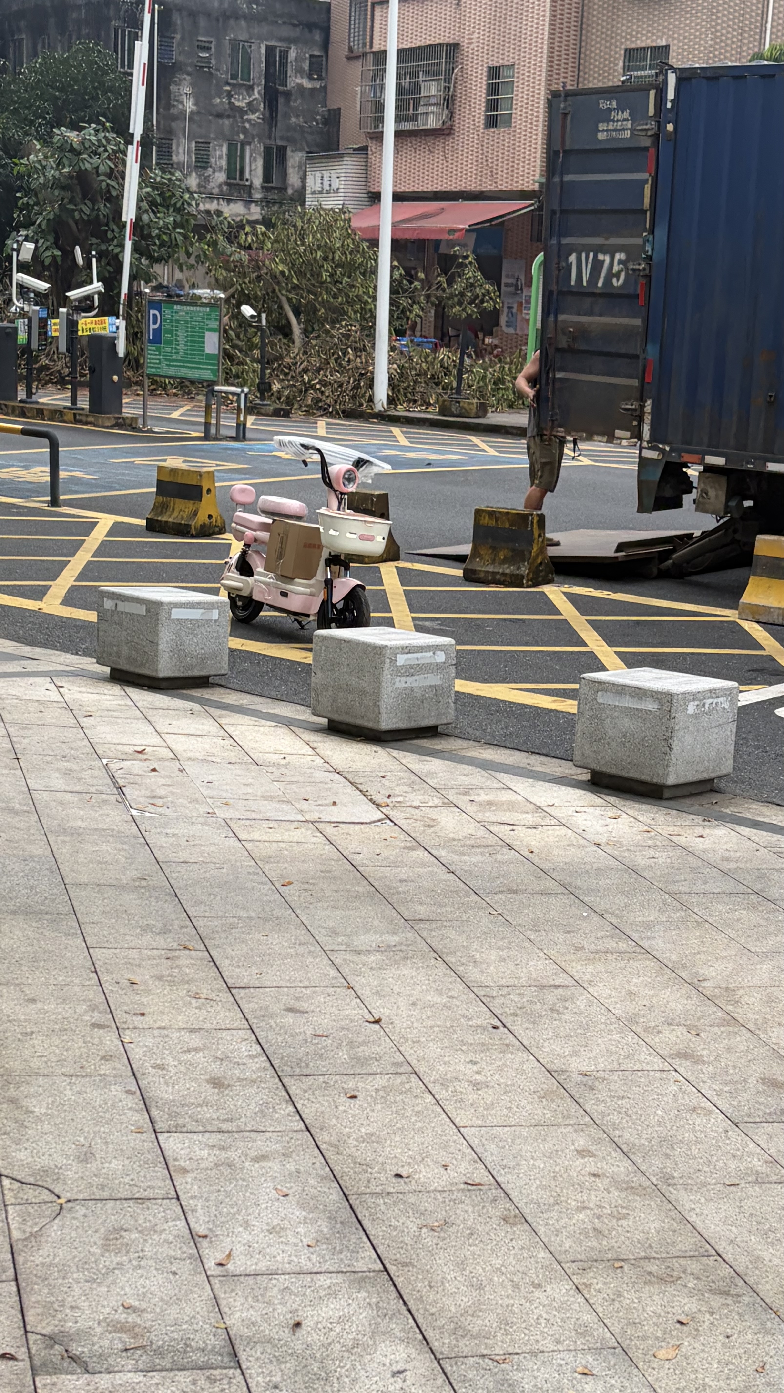 台铃电动自行车萌蜜2026新国标电动车48V20AH铅酸电池长续航可上牌男女通勤上班代步电瓶车蜜桃粉 实拍图