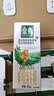 伊利金典双限定娟姗纯牛奶锡林郭勒250ml*12礼盒装3.8g蛋白质 实拍图