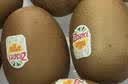 佳沛（zespri）新西兰金奇异果10粒巨大果146-175g猕猴桃水果礼盒 实拍图