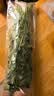 【火锅季】带根香菜100g 实拍图