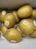 佳沛（zespri）新西兰金奇异果15粒巨大果146-175g猕猴桃水果礼盒 实拍图