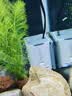 森森耀蓝鱼缸水泵小型潜水泵过滤泵抽水泵YQP-300 3W 实拍图