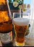 麒麟（Kirin）一番榨 黄啤酒 600ml*12瓶 整箱装京东自营 实拍图