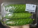 【水果菜】东北旱黄瓜约550g 实拍图