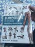 【包邮】肌肉力量训练彩色图谱 拉伸训练书体育运动健身书籍练肌肉力量训练全书减脂增肌健身教练书籍健美书 减重 京东减重 实拍图