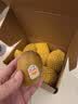 佳沛（zespri）新西兰金奇异果猕猴桃 5粒装 单果约88-103g 水果源头直发 实拍图