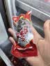 獐子岛 大连即食海参1.2kg 21-30只 固形物85% 海鲜水产送礼礼盒 实拍图