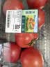 【水果菜】童年味道西红柿约1kg 实拍图