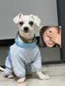 皇家狗粮 幼犬狗粮 宠物 小型犬 MIJ31 全价犬粮 2-10月 2KG 实拍图