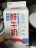 三元 脱脂鲜牛奶500ml 巴氏杀菌 早餐 营养高蛋白 实拍图