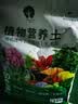 漫生活16L进口营养土通用型 种菜土养花土进口泥炭土椰糠花卉有机土壤 实拍图