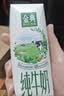 伊利【新鲜日期】金典纯牛奶早餐奶250ml*16盒3.6g乳蛋白 礼盒装 实拍图