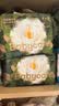 babycare金山茶花婴儿纸尿裤mini装L20片(9-14kg)尿不湿透气超薄透气 实拍图