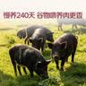 七鲜24小时240天黑猪刀切五花腿肉馅(肥瘦比约3:7)350g 实拍图
