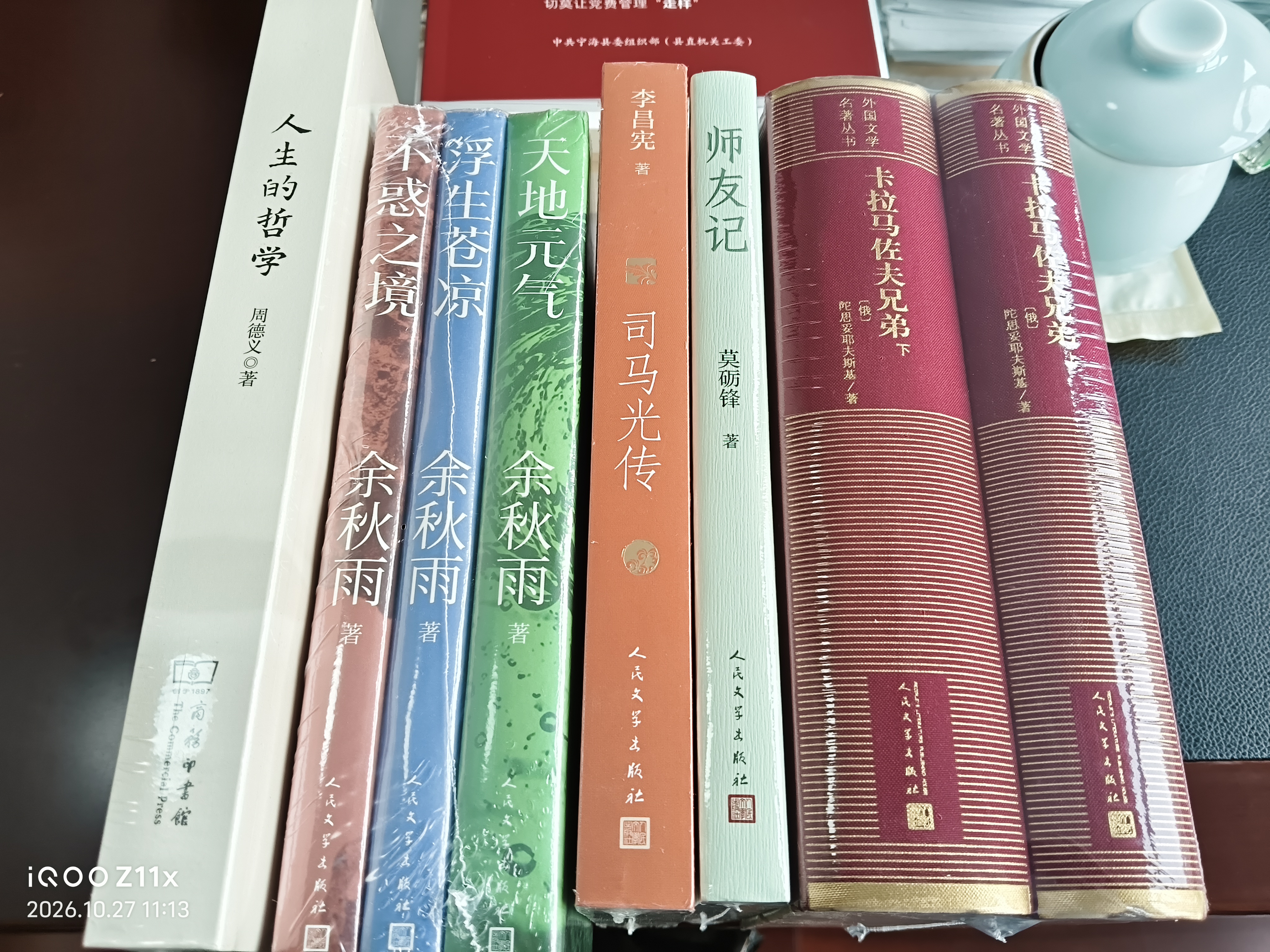 卡拉马佐夫兄弟（上下册 精装 网格本 人文社外国文学名著丛书） 小说 实拍图