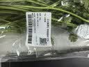 【火锅季】带根香菜100g 实拍图
