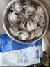 美加佳三去小章鱼净重2斤（500g*2袋）16-26只 去脏八爪鱼火锅聚餐 实拍图
