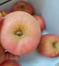 京鲜生 烟台红富士苹果 净重10斤 单果190g以上 礼盒装 生鲜礼盒 实拍图