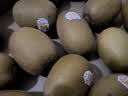 佳沛（zespri）新西兰金奇异果22粒巨大原箱146-175g猕猴桃水果礼盒 实拍图